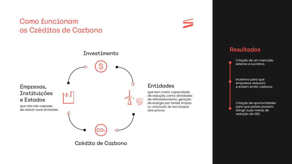 Gráfico explicando como funcionam os Créditos de Carbono, desde o investimento, entidades, crédito de carbono, empresas e instituições até os resultados.