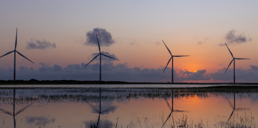 Geradores de energia eólica em um pôr-do-sol. Crédito de carbono: entenda como funciona e combate o aquecimento global
